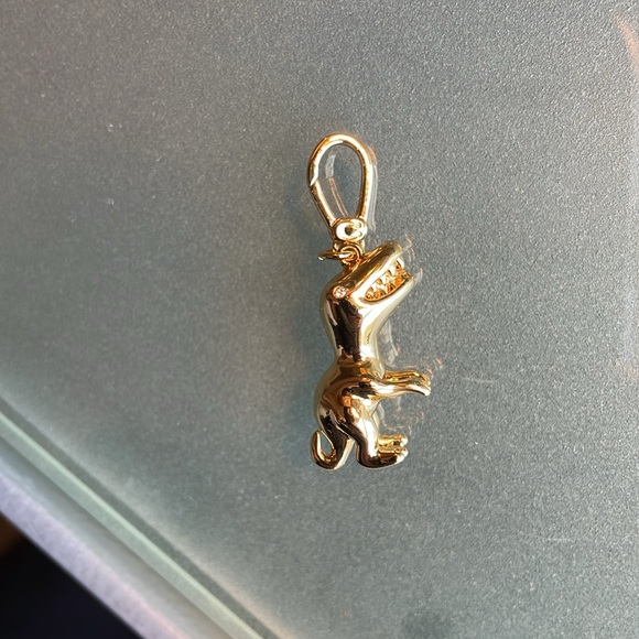 Coach Rexy Charm NWT - Picture 5 of 8